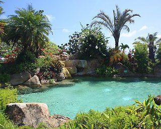 Lawai Beach Resort Hotel Koloa Exterior foto